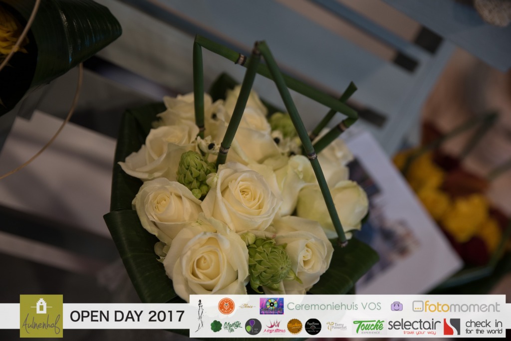 20171126_100444_D7C6642.jpg Aulnenhof Open Day 2017 