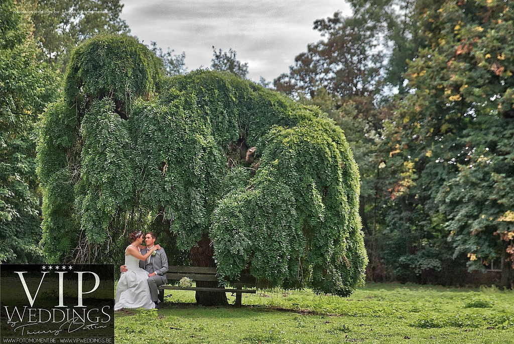 Huwelijksfotograaf-Photogrape-Mariage-Fotomoment-Moments-Photos-VIPWeddings-5458.JPG Lien en Jeroen zijn getrouwd! Avin,België,Belgique,Braives,Crehen,Fine Art,Fotomoment,Goedsenhoven,Hannut,Hélécine,Hoegaarden,Huwelijksfotograaf,Landen,Leuven,Lincent,Moments Photos,Orp-Jauche,Photographe de mariage,Photos de mariage,Raccour,Sint-Truiden,Thierry Botten,Tienen,Toffe fo
